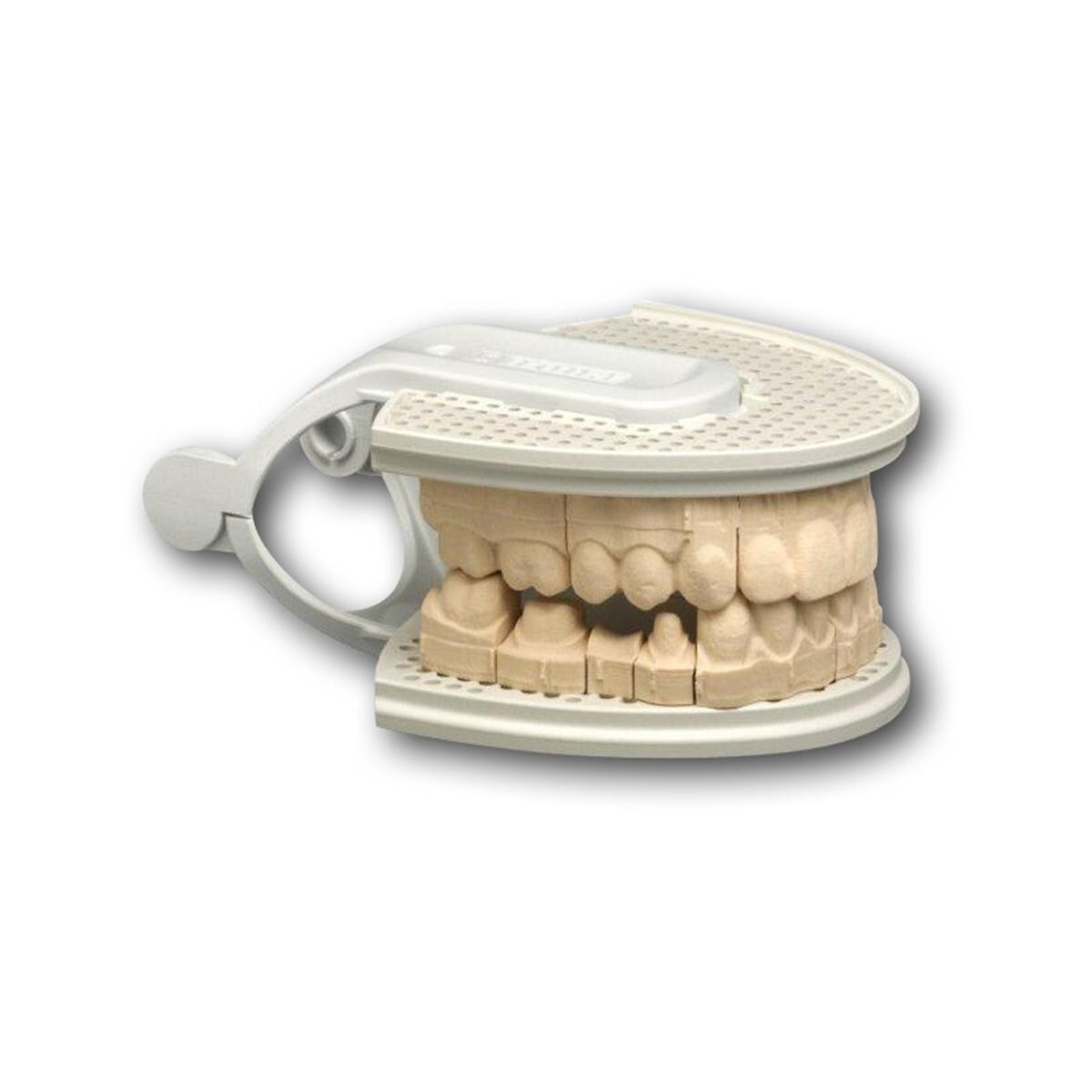 Connect Modellhalter - Ganzkiefer - 62 57 195, Packung 3 Stück