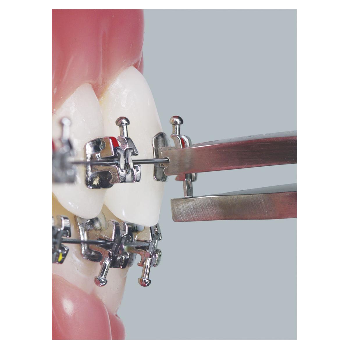 Lotus Plus Pinzetten - Pinzette zum Schließen des Clips