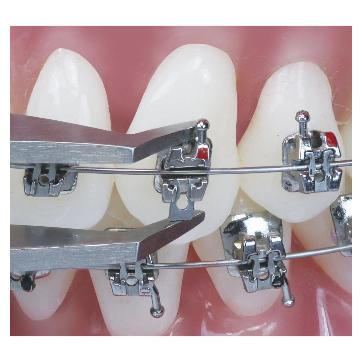 Lotus Plus Pinzetten - Pinzette zum Schließen des Clips