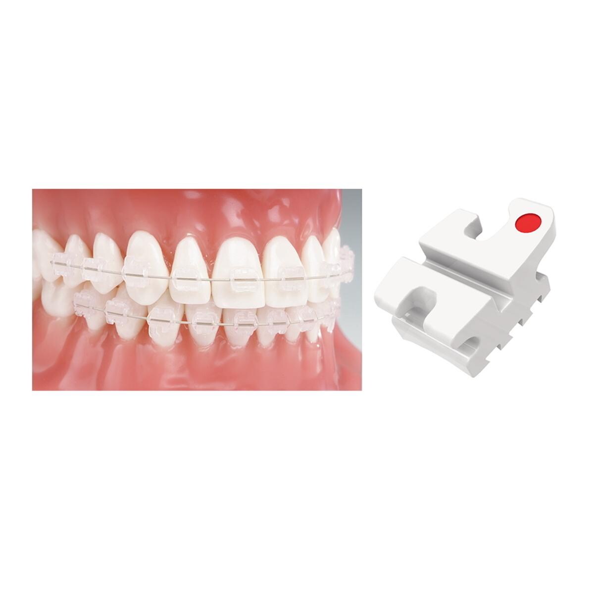 OrthoFlex Roth Prescription .018" Slot, Einzelpackung - Zahn 31, 32, 41, 42, 0° Torque, ohne Häkchen