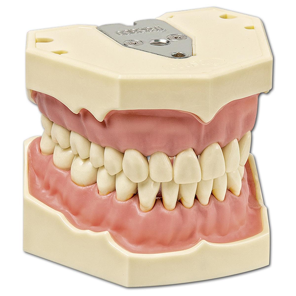 Arbeitsmodell AG-3 28 - Modell