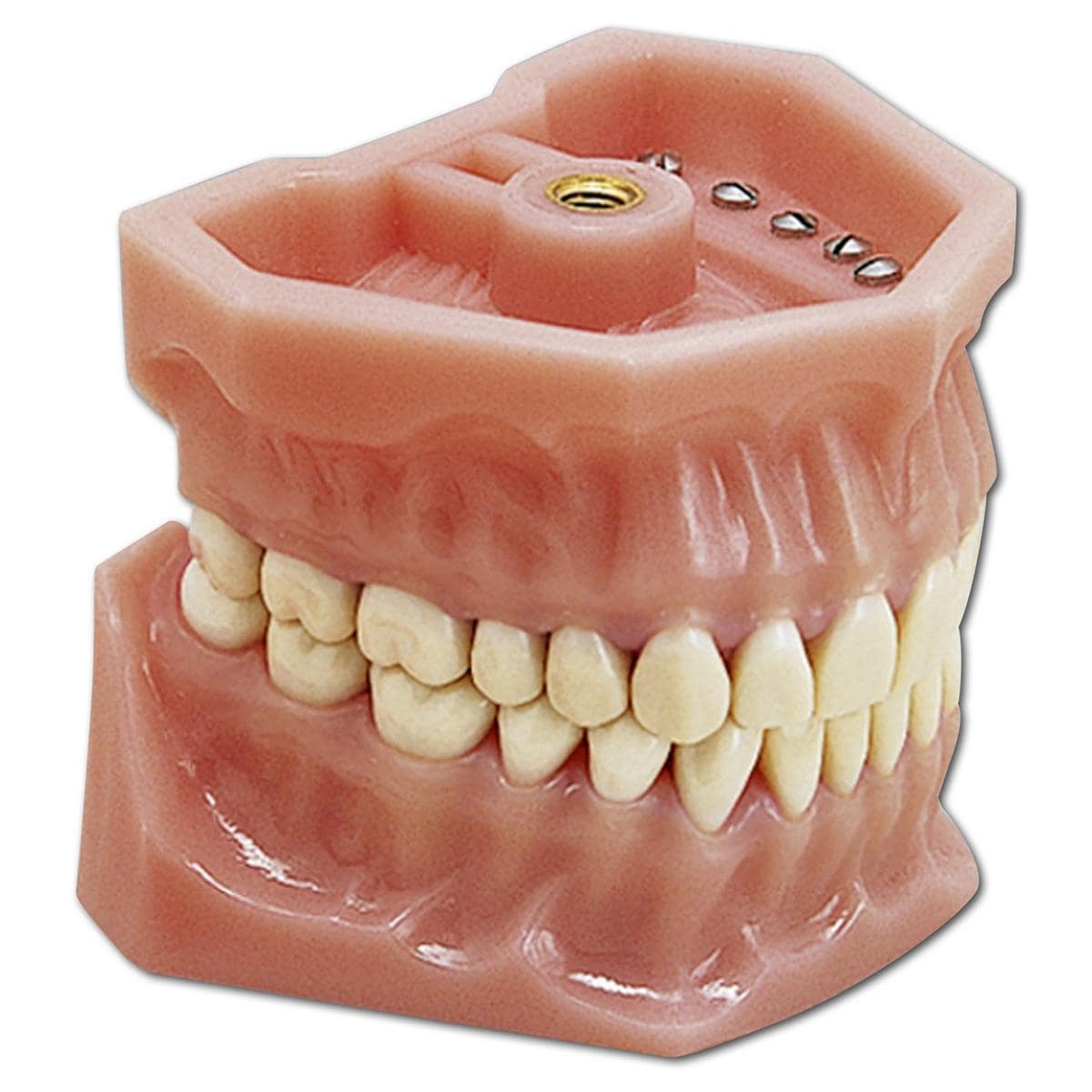 Arbeitsmodell A-3 - Modell