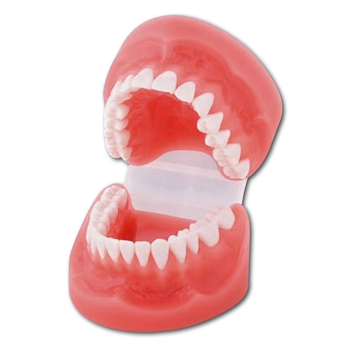 Demonstrations-Modell - D13PP-TR1