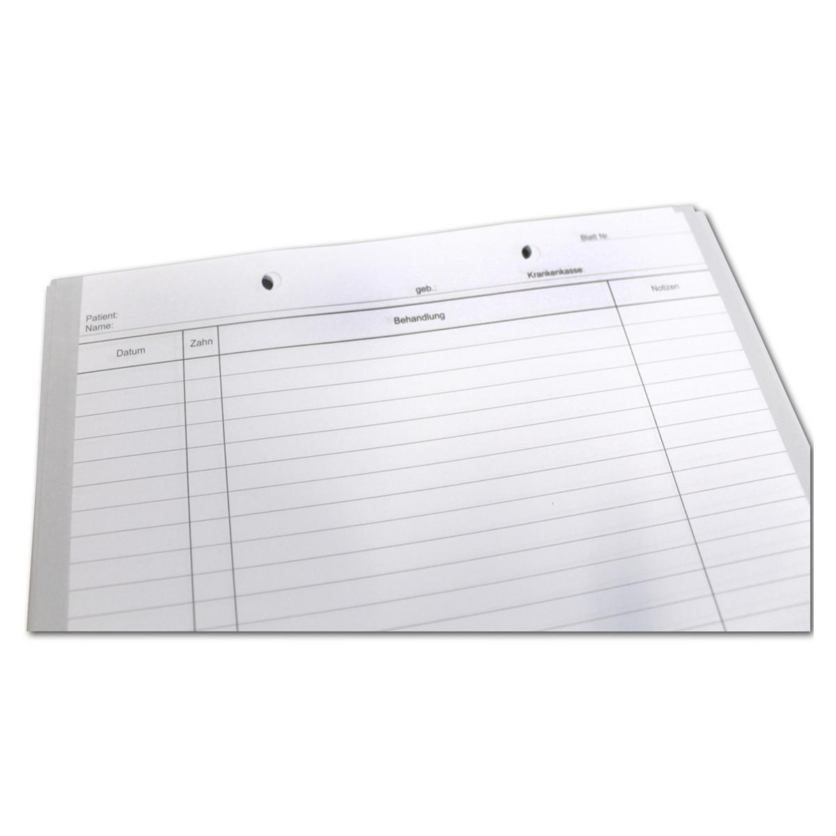 Einlegeblatt E - kopfgelocht - Packung 1.000 Stück