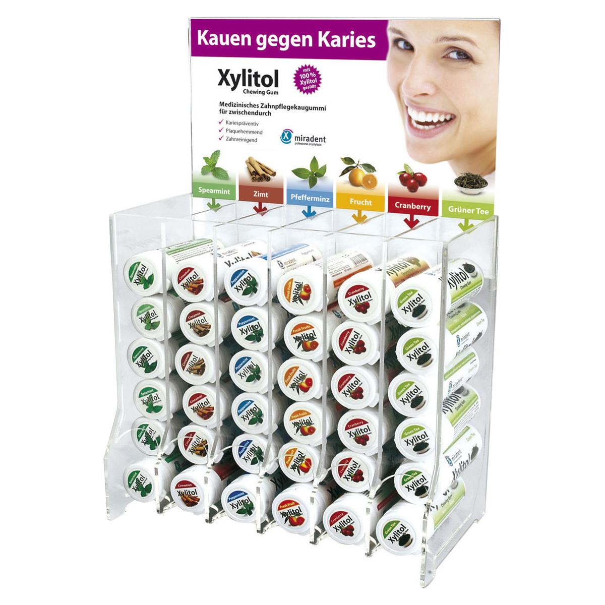Xylitol Chewing Gum - Großpackung mit Display - Packung 6 x 12 Dosen