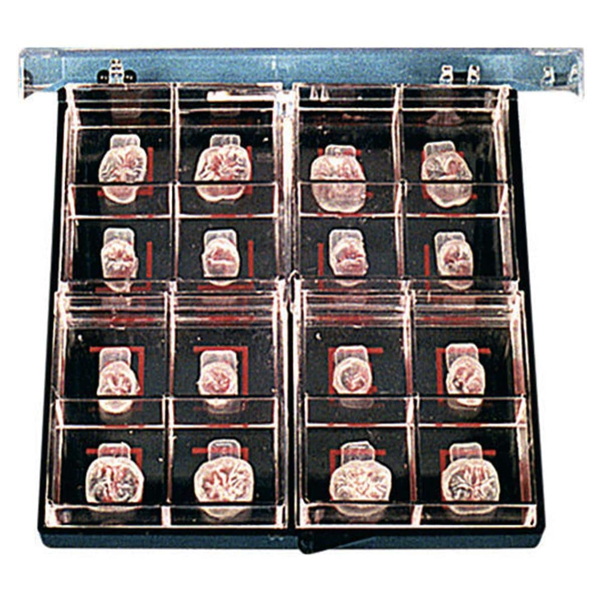 Flexiform Silikonformen - Sortiment - Mit allen 16 Formen