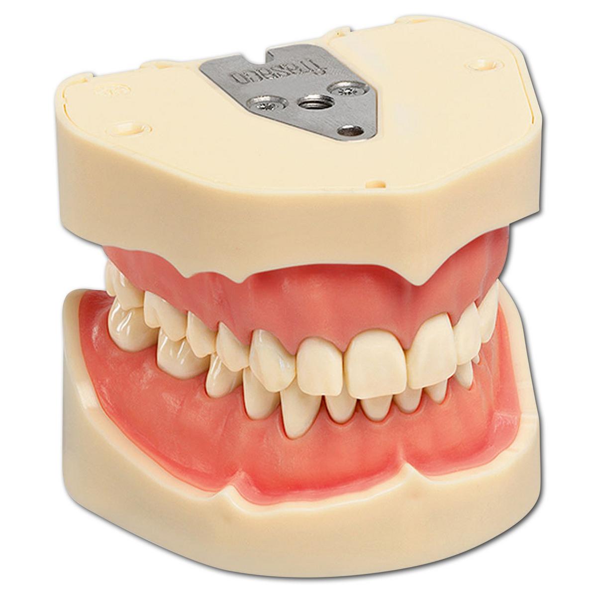 Arbeitsmodell ANKA-4 - Modell