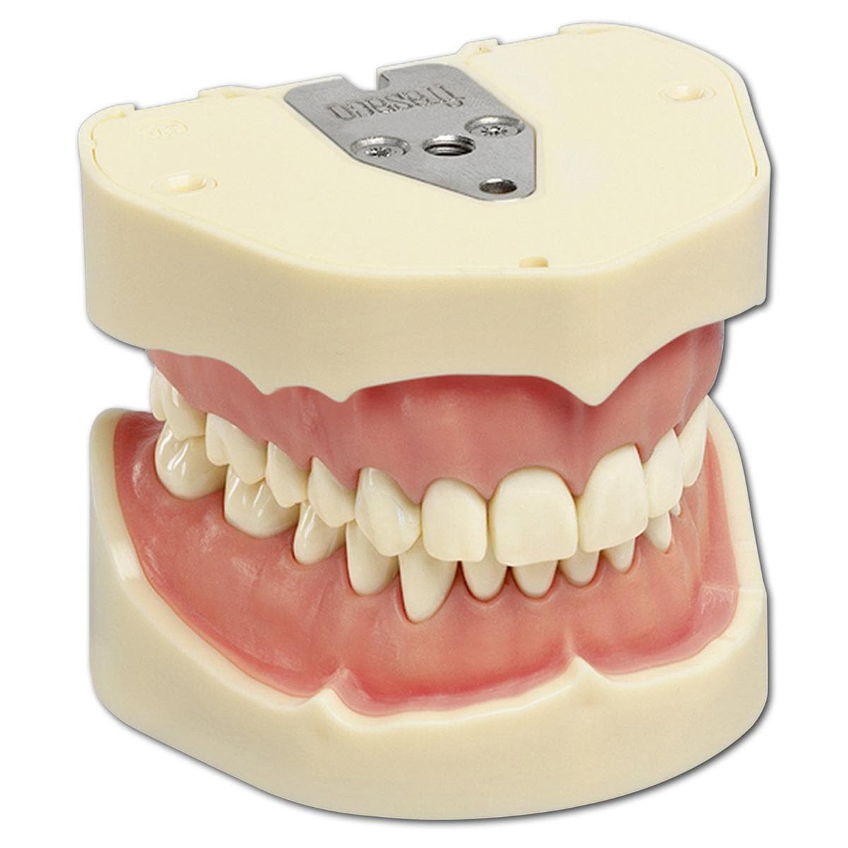 Arbeitsmodell ANA-4 - Modell