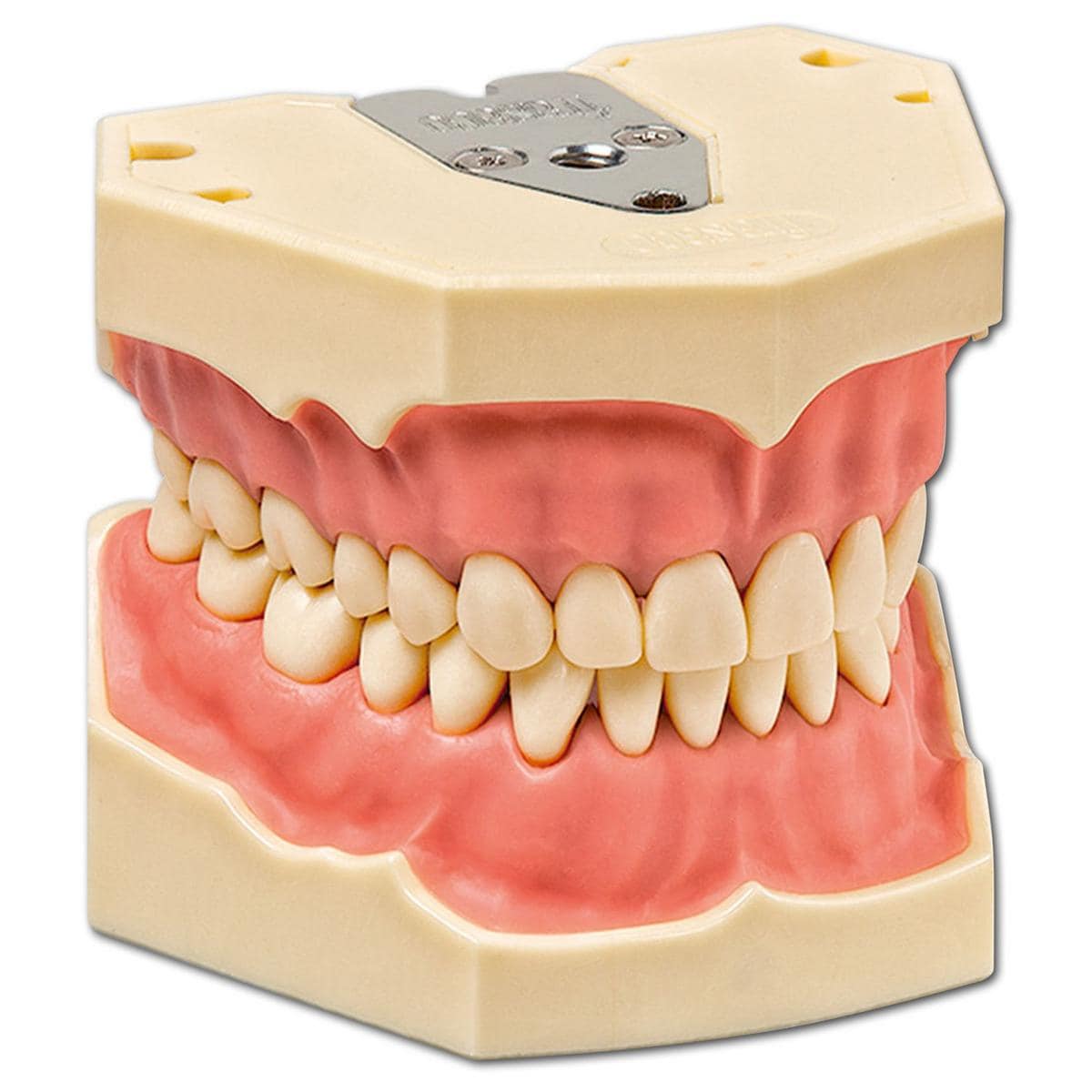 Arbeitsmodell AG-3 W 20 - Modell