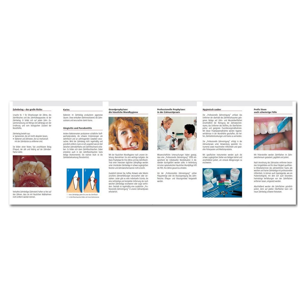 Merkblatt - Professionelle Zahnreinigung - Packung 25 Stück