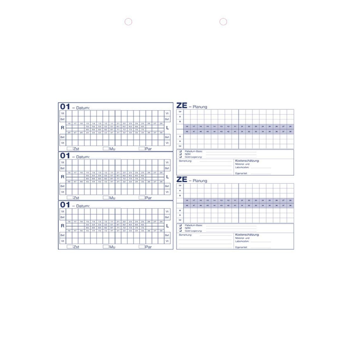 Kartei-Einlegeblätter DIN A4, kopfgelocht - Typ H, Packung 100 Stück