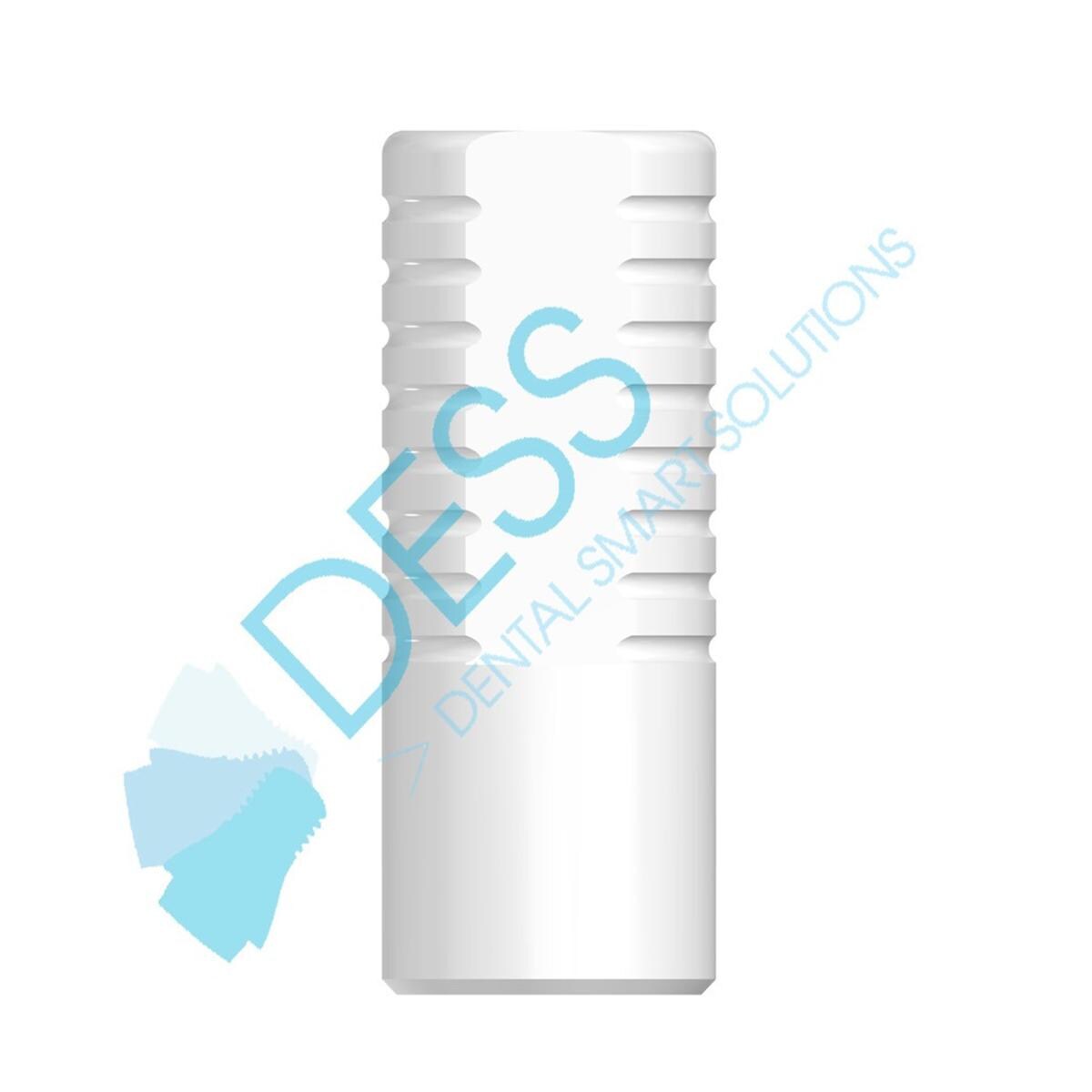 Kunststoffzylinder mit Rotationsschutz - Ø 3,0 mm, Packung 5 Stück