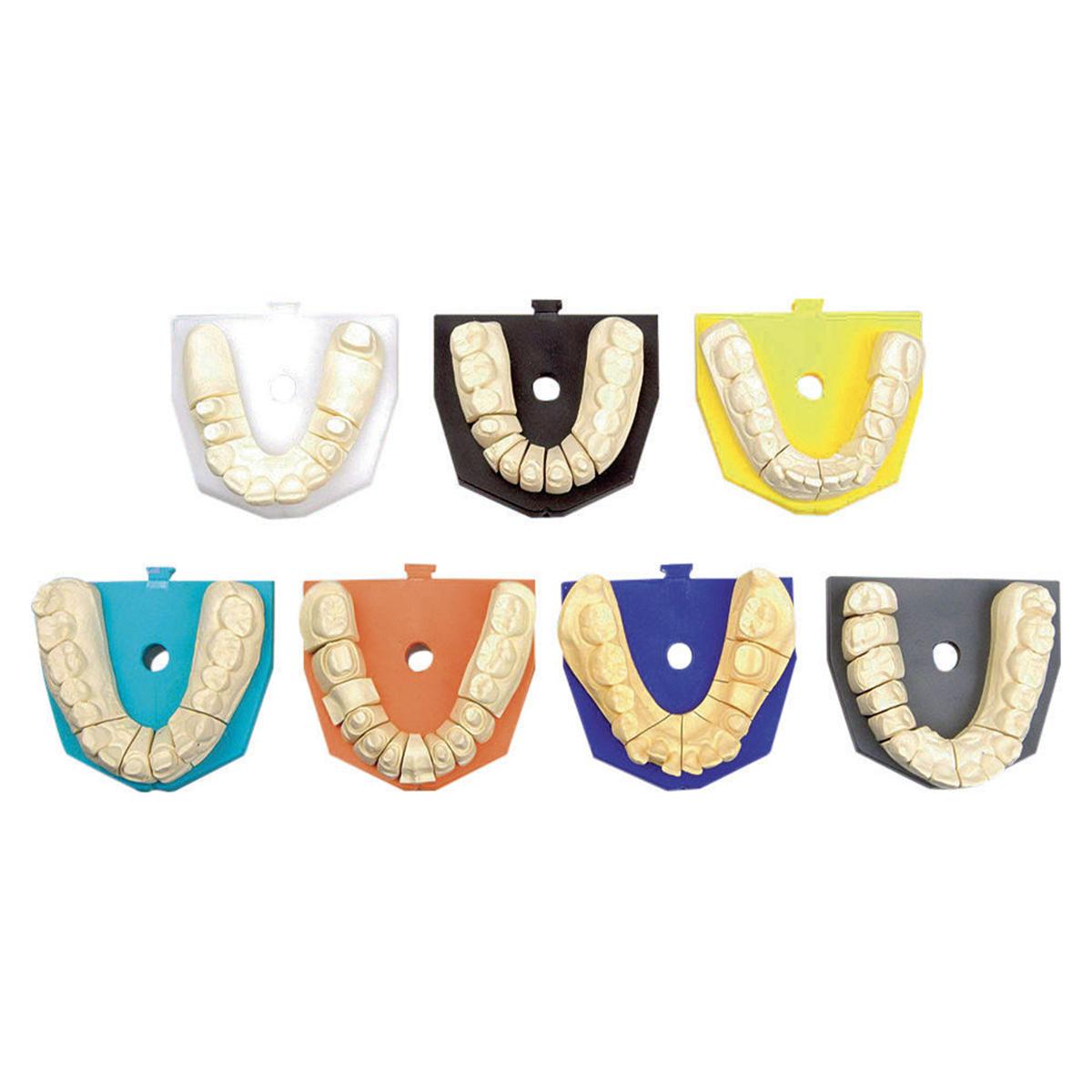 zeiser® Snap-On Platte - Groß, Packung 50 Stück