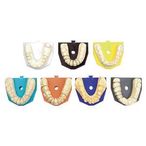 zeiser® Snap-On Platte - Groß, Packung 50 Stück