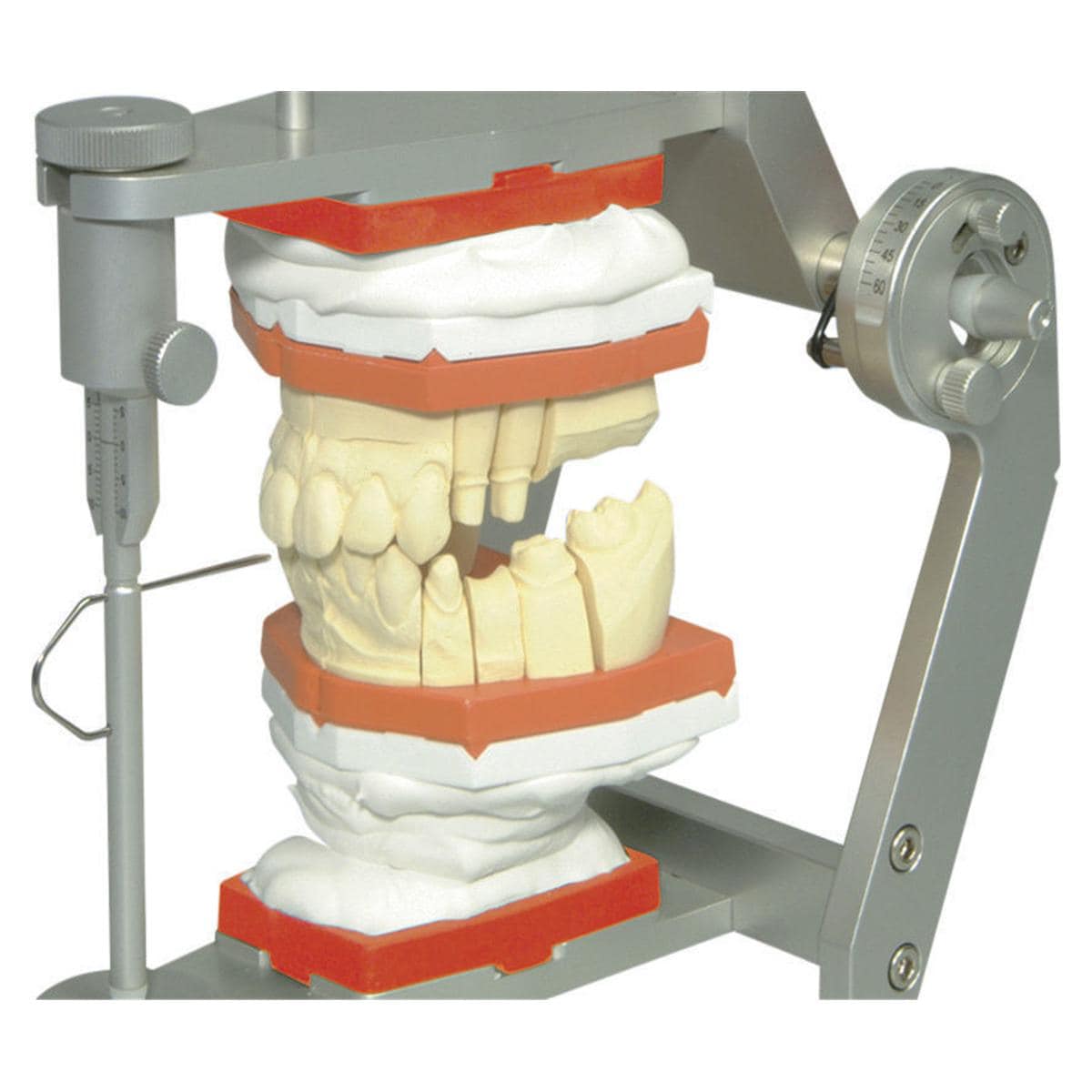 zeiser® Snap-On Platte - Groß, Packung 50 Stück