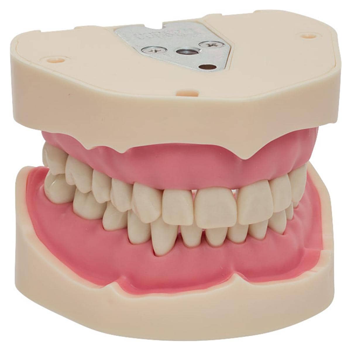 Arbeitsmodell ANA-4 V - Modell