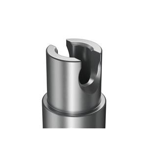 Ti-Forms Abutment for Ceramill Biomet 3i® Certain® - Ø 4,1 mm