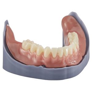 CreaPRINT Try-In - Ivory, Flasche 1.000 g