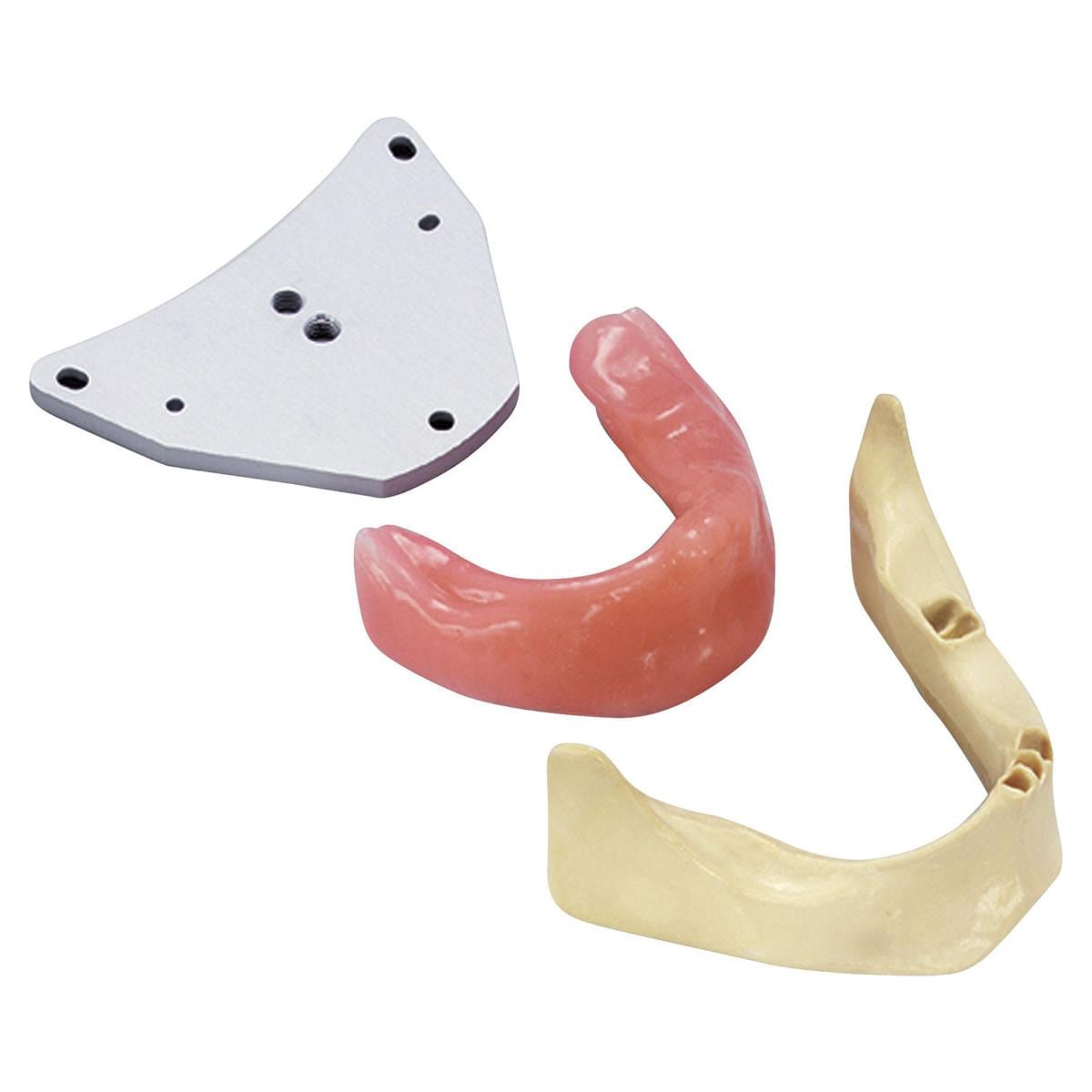 Aufbauplatte zur Modellbefestigung im Phantomkopf - Aufbauplatte Unterkiefer