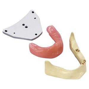 Aufbauplatte zur Modellbefestigung im Phantomkopf - Aufbauplatte Unterkiefer