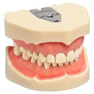 Arbeitsmodell ANKA-4 V - Modell