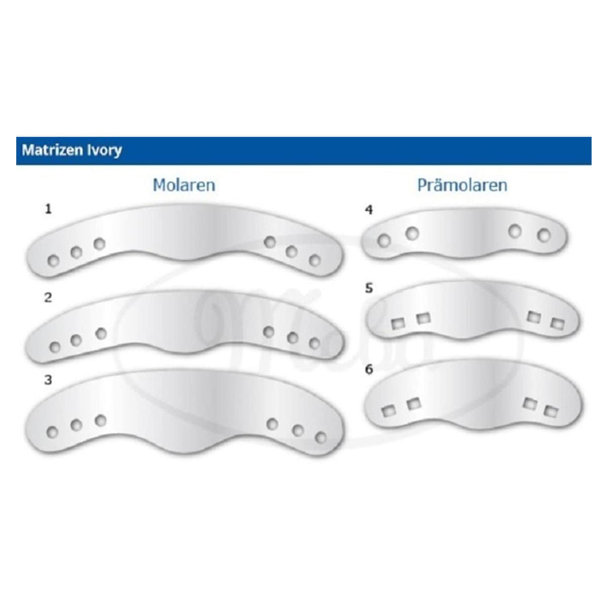 Matrizen Ivory, mit Loch - Nr. 6 (MS-MA6), Packung 12 Stück