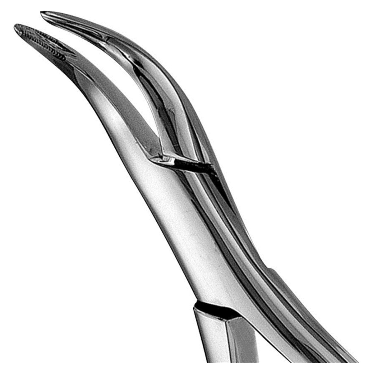 Apikale Zahnzange, UK - Figur 301 (F301), gezackt, untere Wurzelplitter