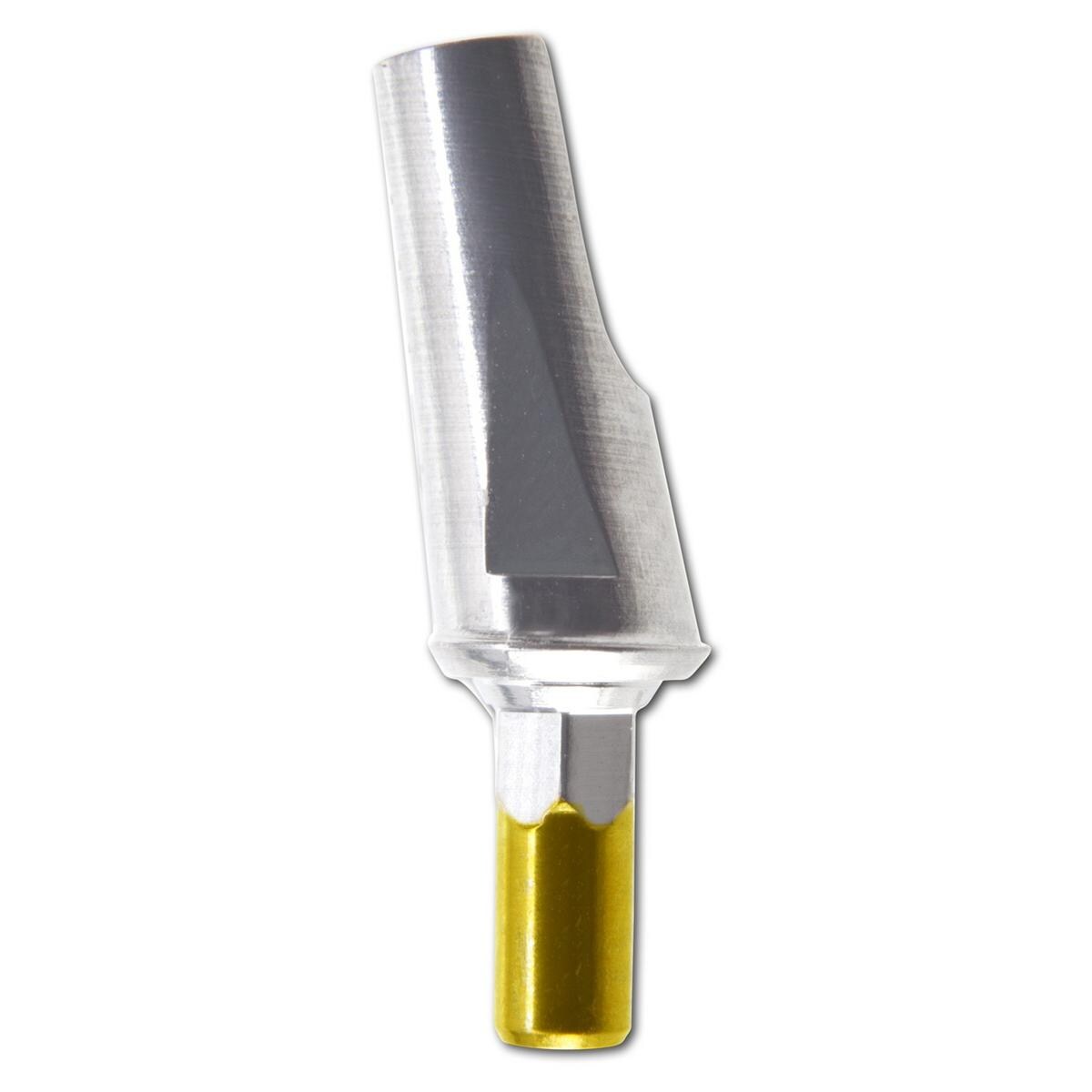 Abutment Titan 10° gewinkelt Ø 3,8 mm - Höhe 0,5 mm