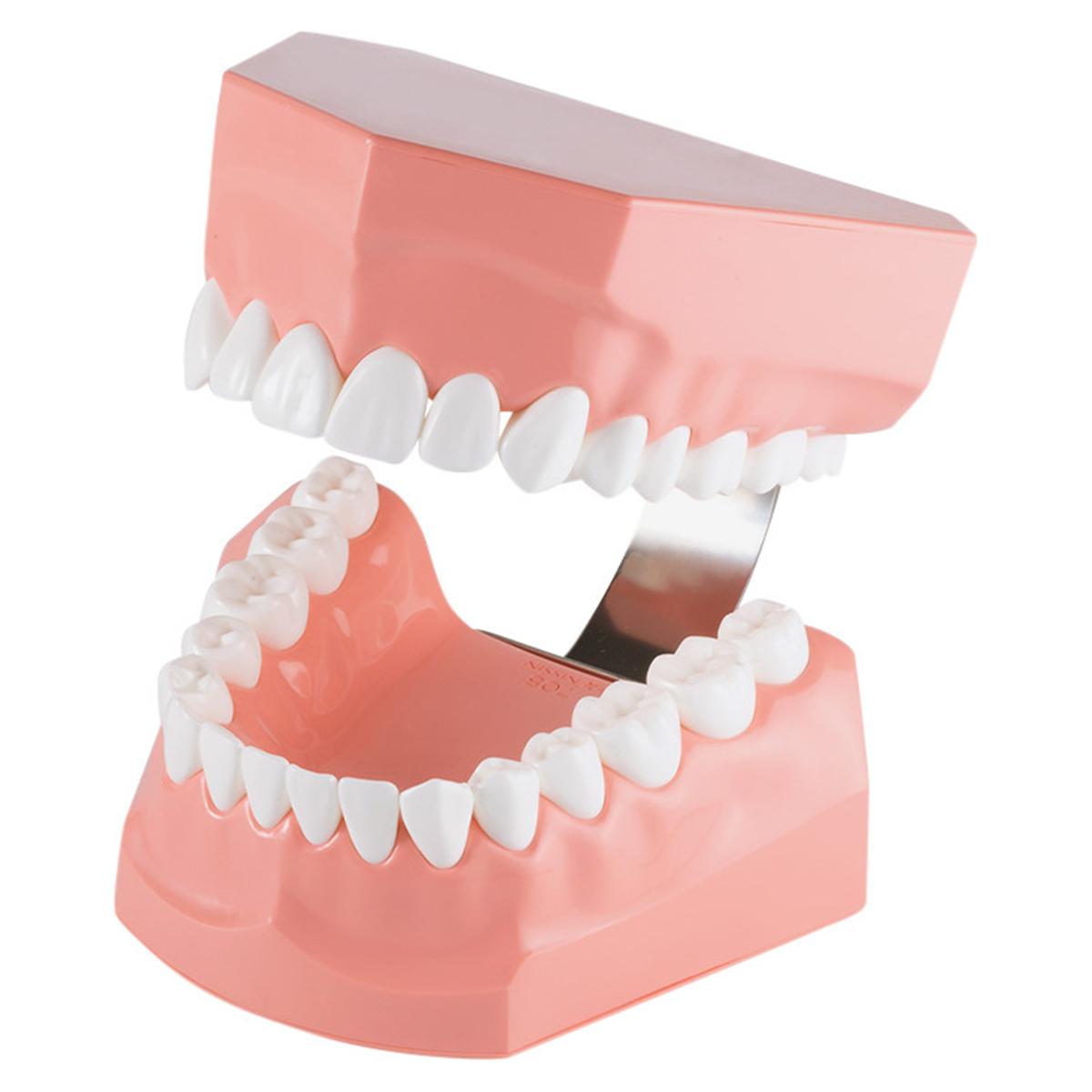 Demonstrations-Modellpaar - Modell P3B-705