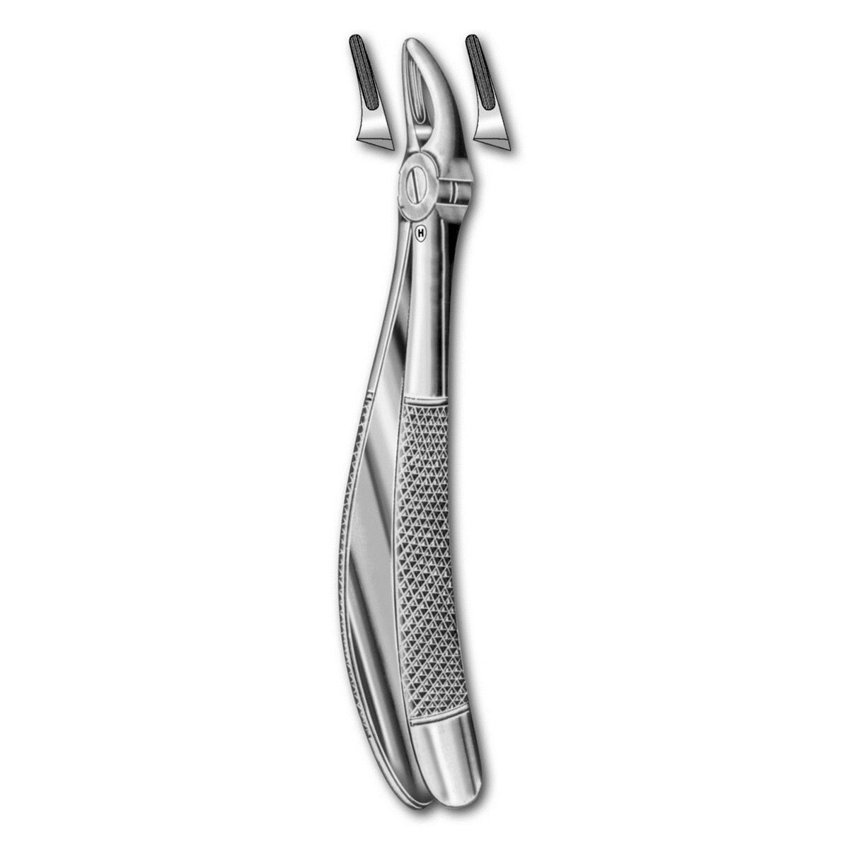 Kinderzahnzange - Englische Form - Figur 30S - Prämolaren und Wurzeln OK