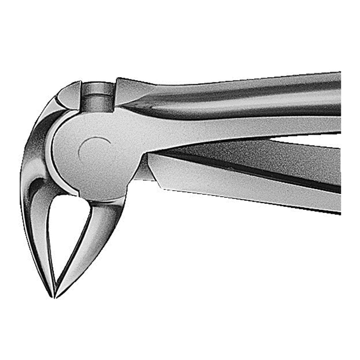 ANATOMICA Wurzelzange nach Büchs - Figur 33 A (DH732R) - UK, schmal