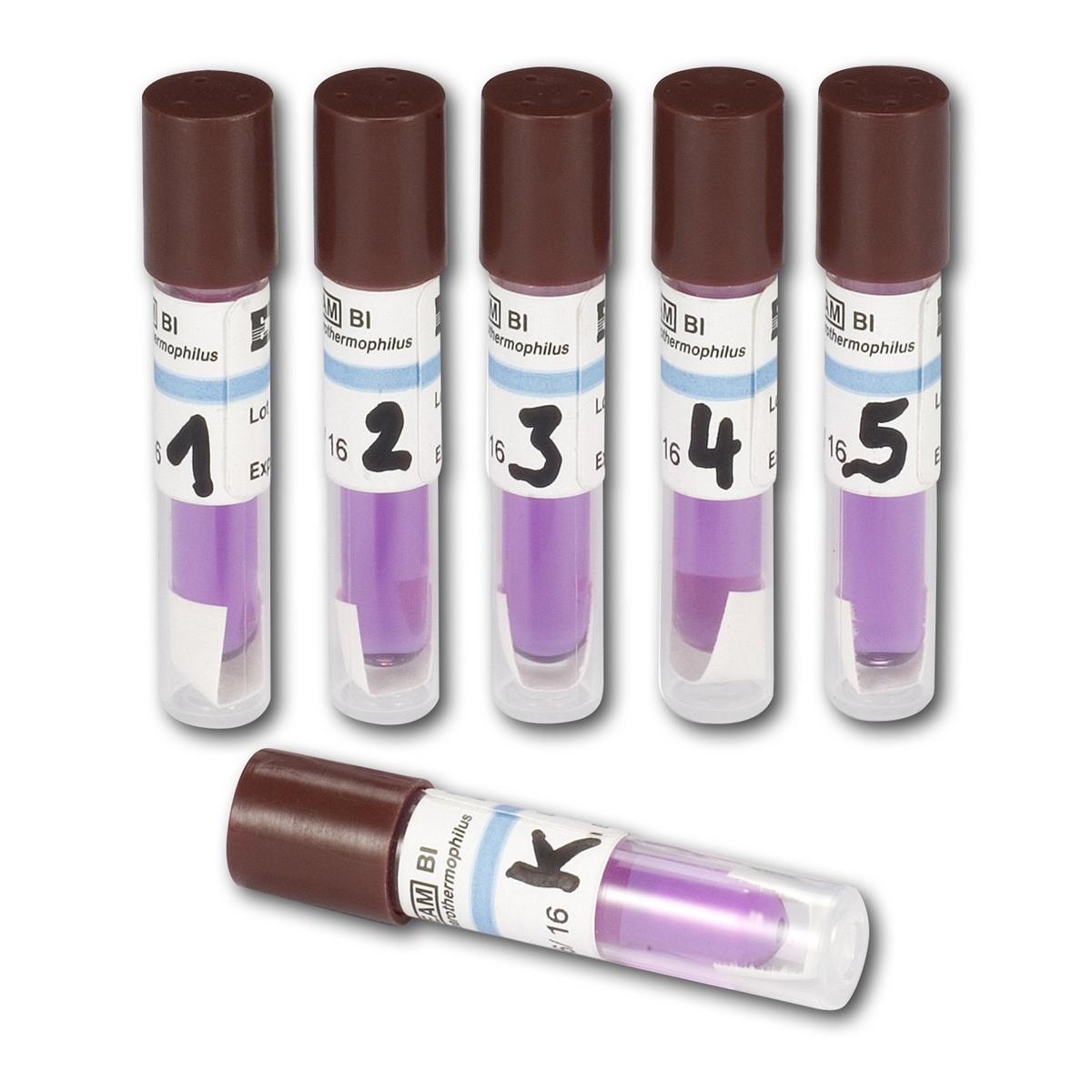 Verification Service - EZ Test - Packung 5 x 1 Teststreifen