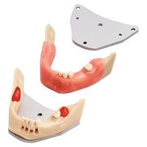 Chirurgie-Trainingsmodell A-J OP - UK