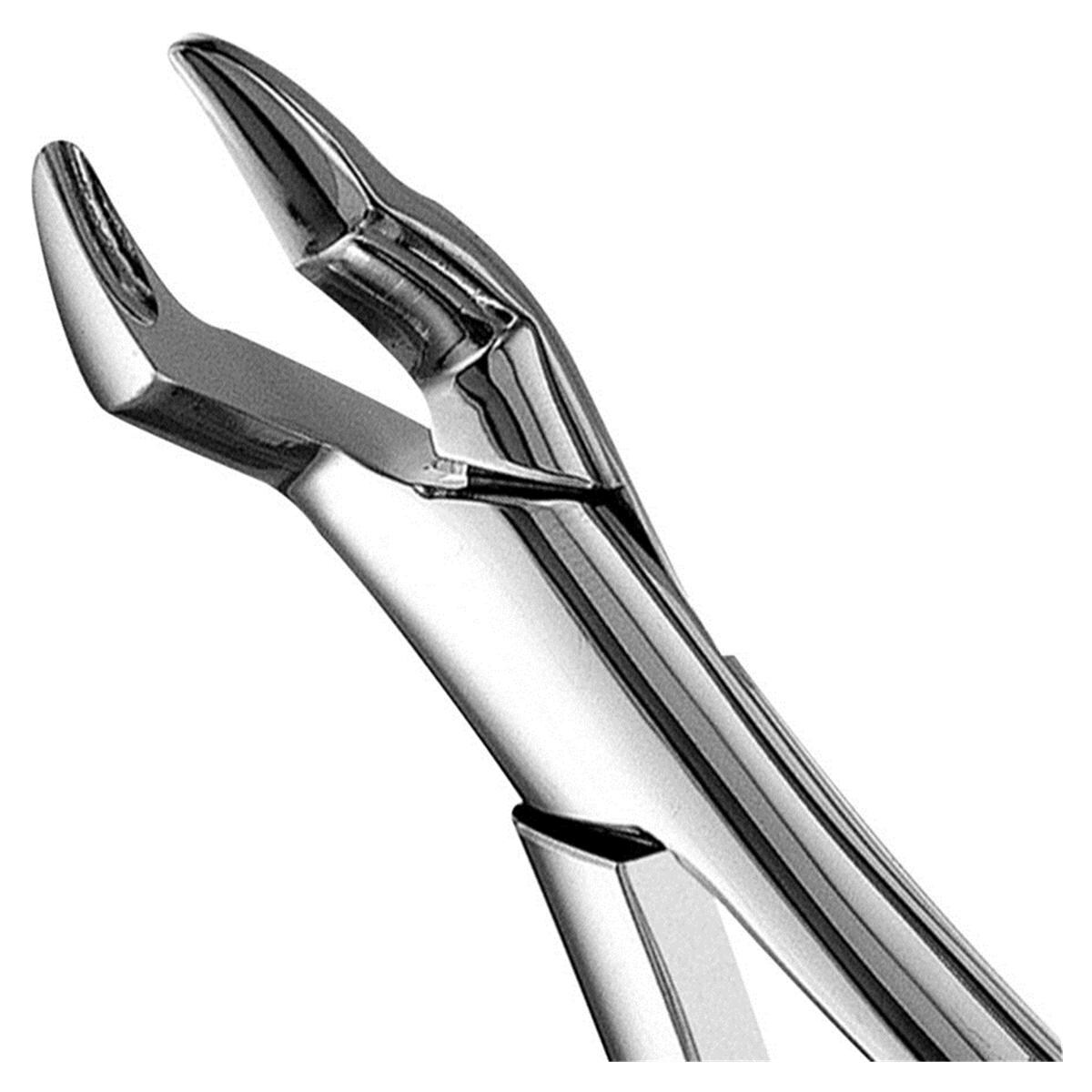 Apikale Zahnzange, Molarenzange OK - Figur 10S (F10S)