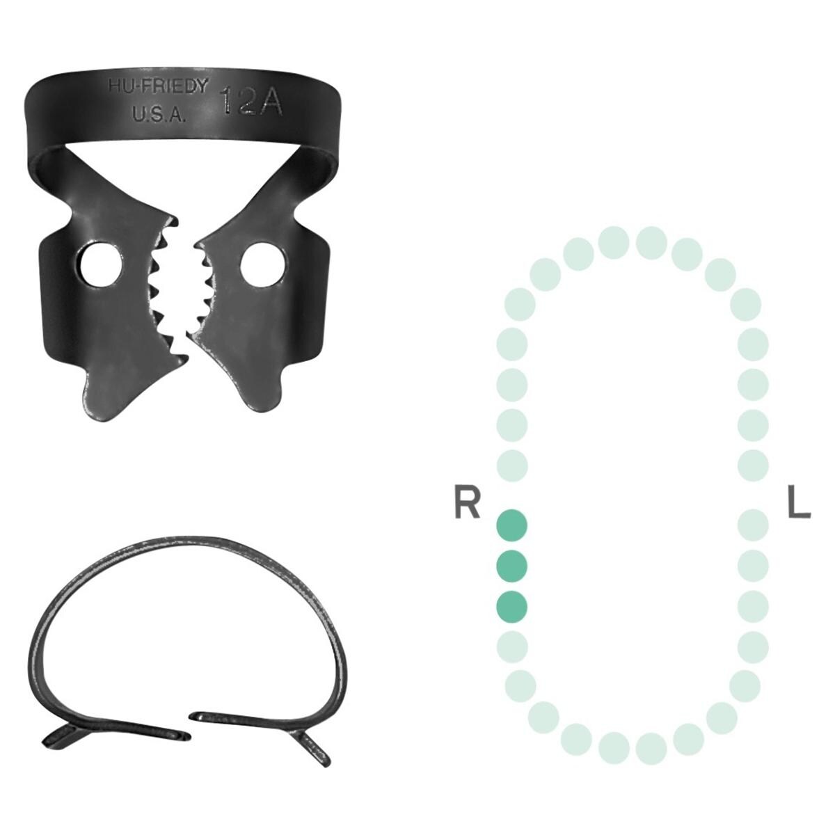 Kofferdam-Klammer, Black Line - Untere Molaren - Figur 12A, geriffelte Klammermaul