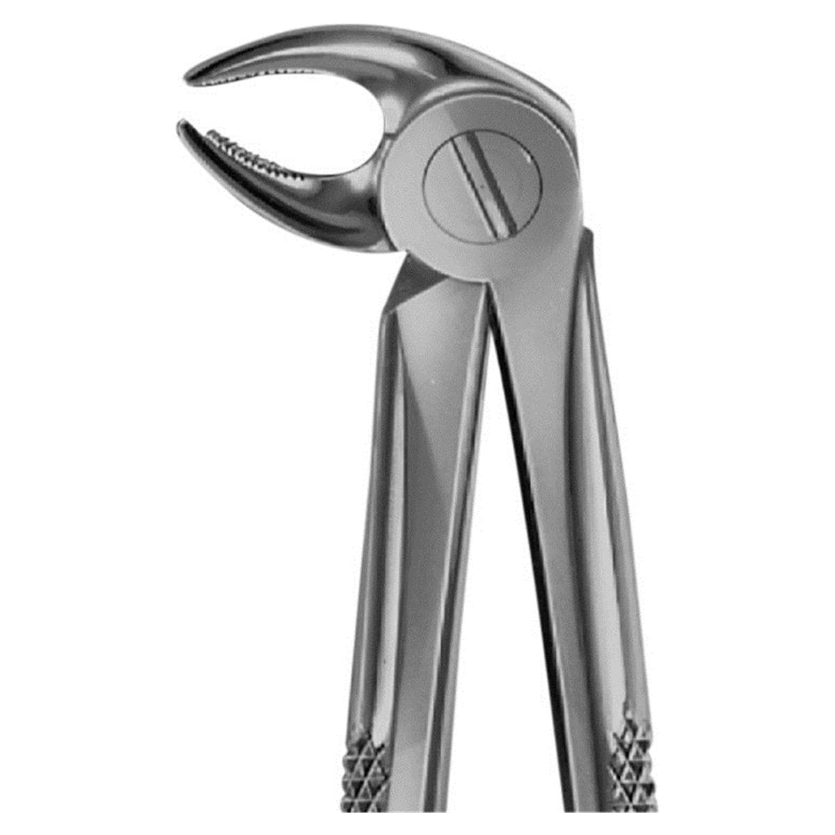 ANATOMICA Zahnzange nach Büchs, Eckzahn- und Prämolarenzange UK - Figur 13 (DH713R)