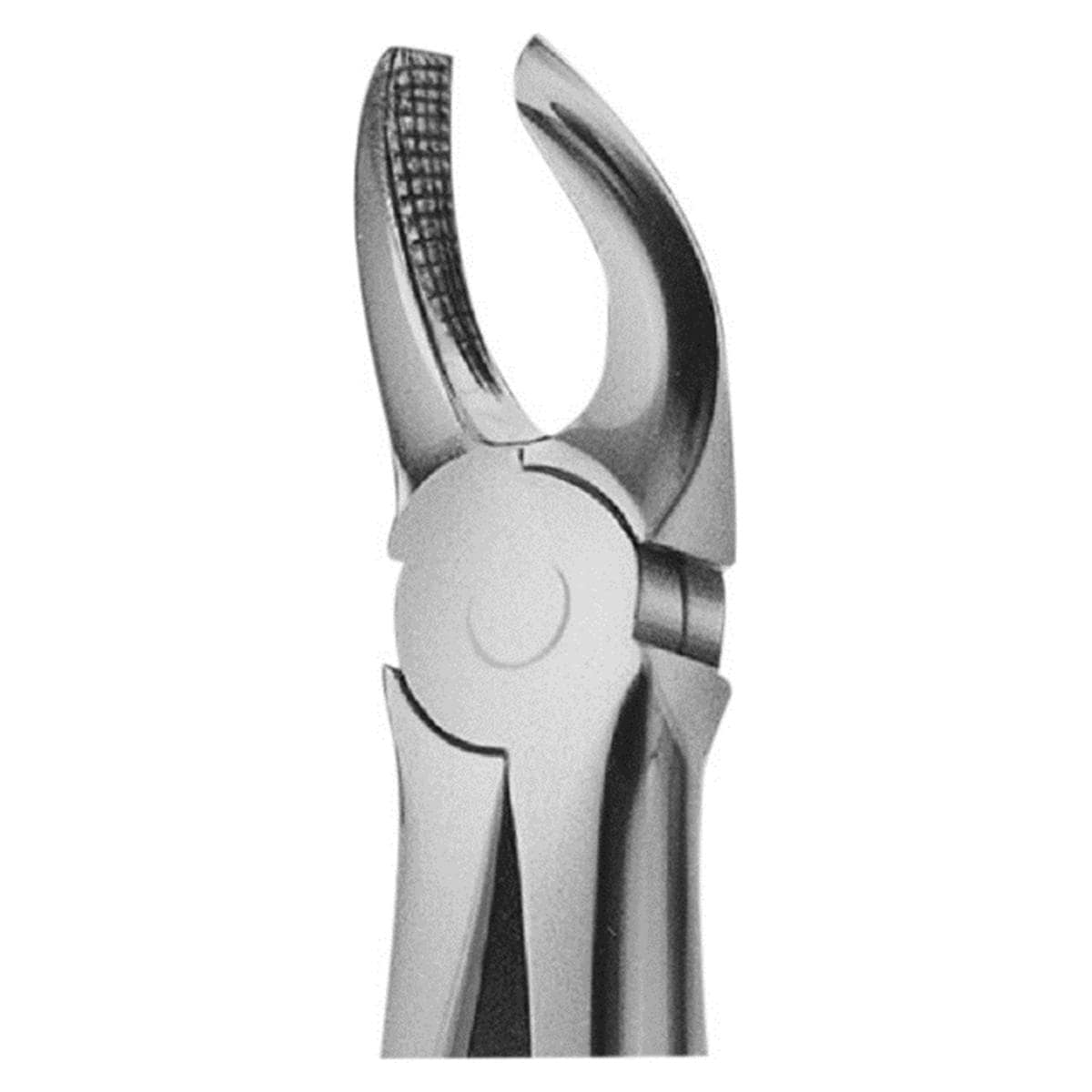 ANATOMICA Zahnzange nach Büchs, Molarenzange OK - Figur 17 (DH717R) - rechts