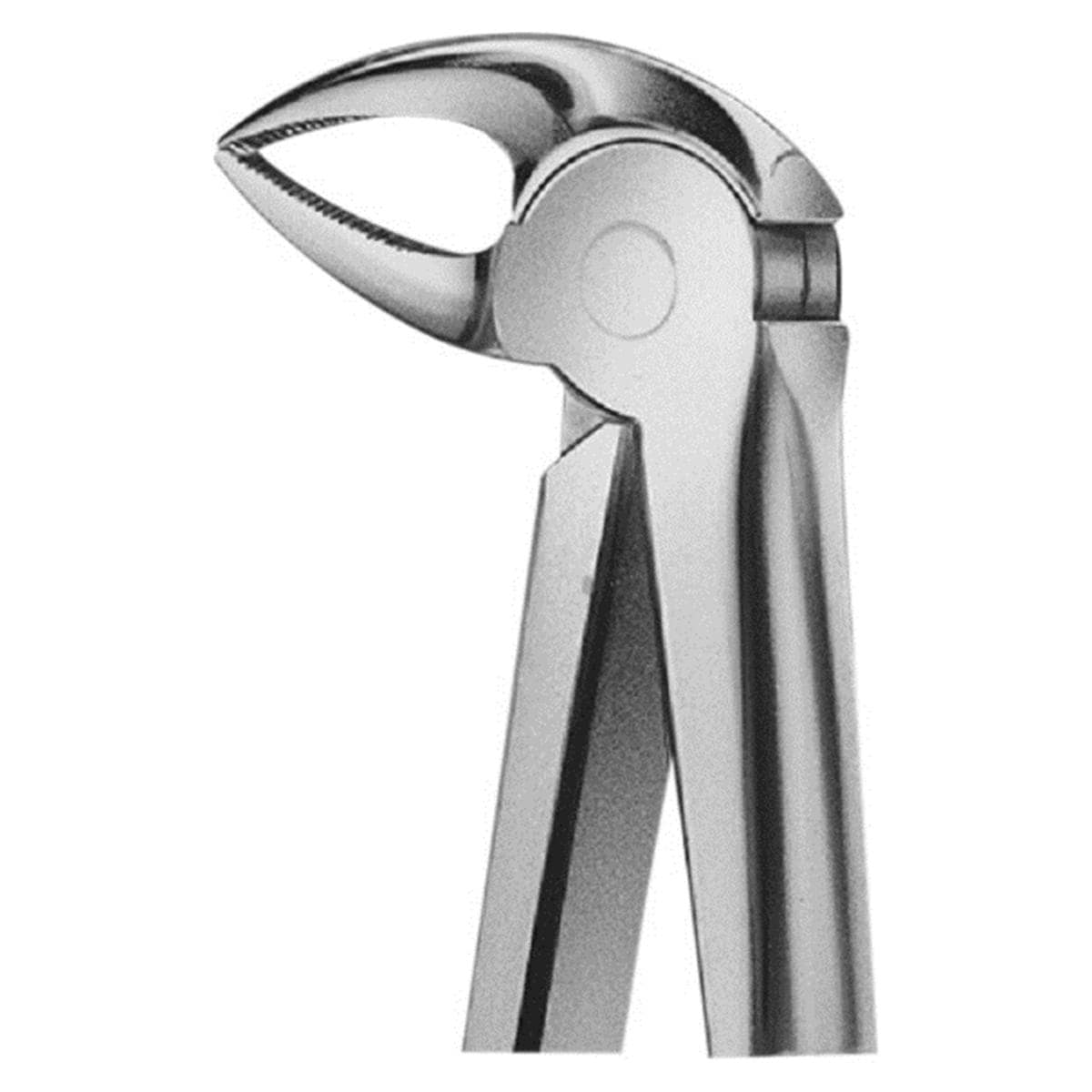 ANATOMICA Zahnzange nach Büchs, Frontzahn-, Prämolaren- und Wurzelzange UK - Figur 33 (DH733R)