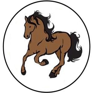 Happy-Design KFO-Einlegemotive - Pferd, Packung 20 Stück