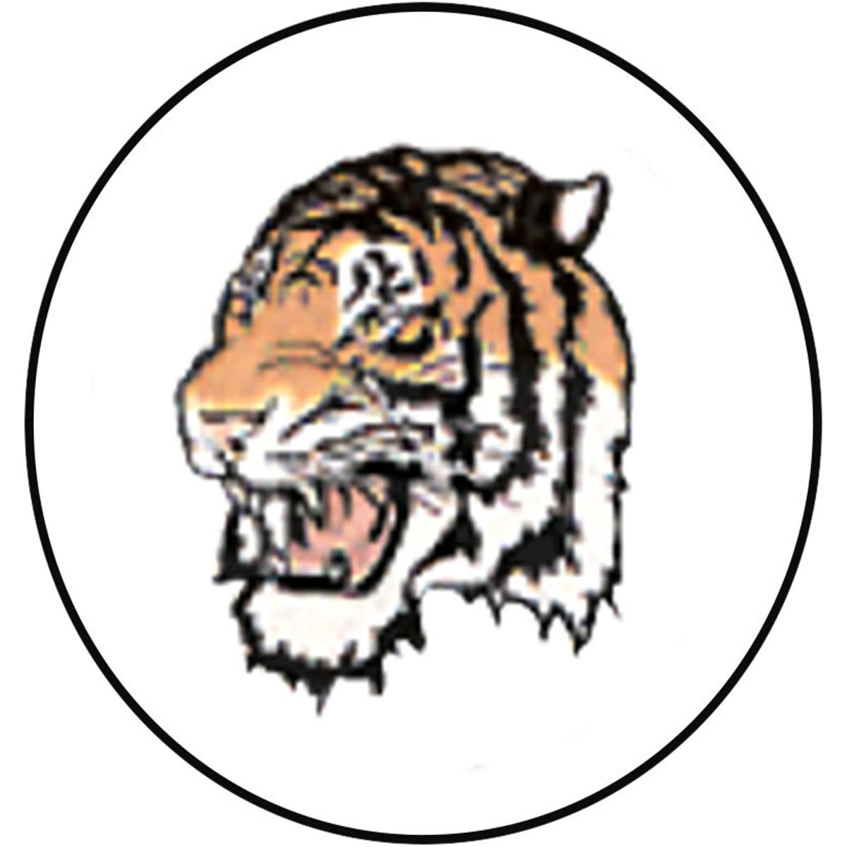 Happy-Design KFO-Einlegemotive - Tiger, Packung 20 Stück