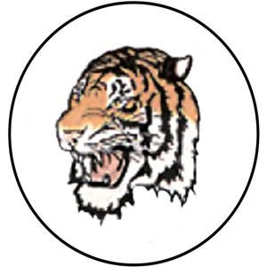 Happy-Design KFO-Einlegemotive - Tiger, Packung 20 Stück