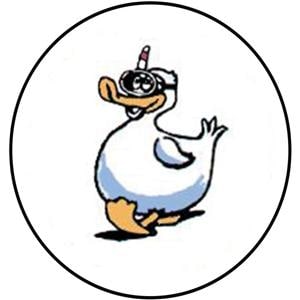 Happy-Design KFO-Einlegemotive - Ente, Packung 20 Stück