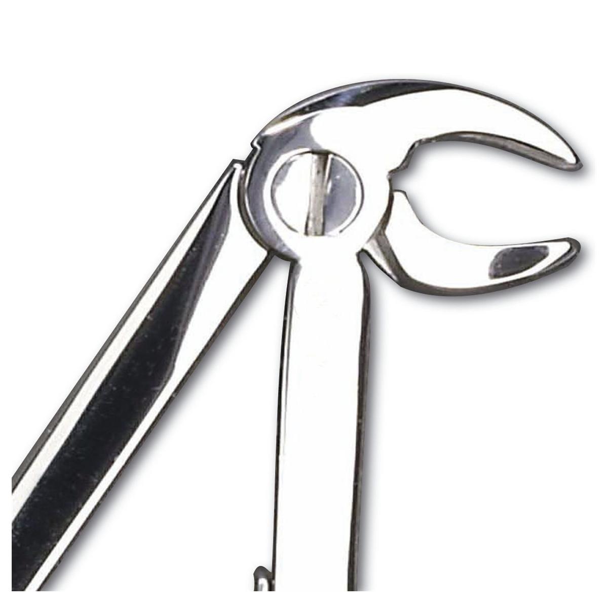 HS-Kinderzahnzange, Frontzahnzange - Figur 5, UK, Länge 11 cm